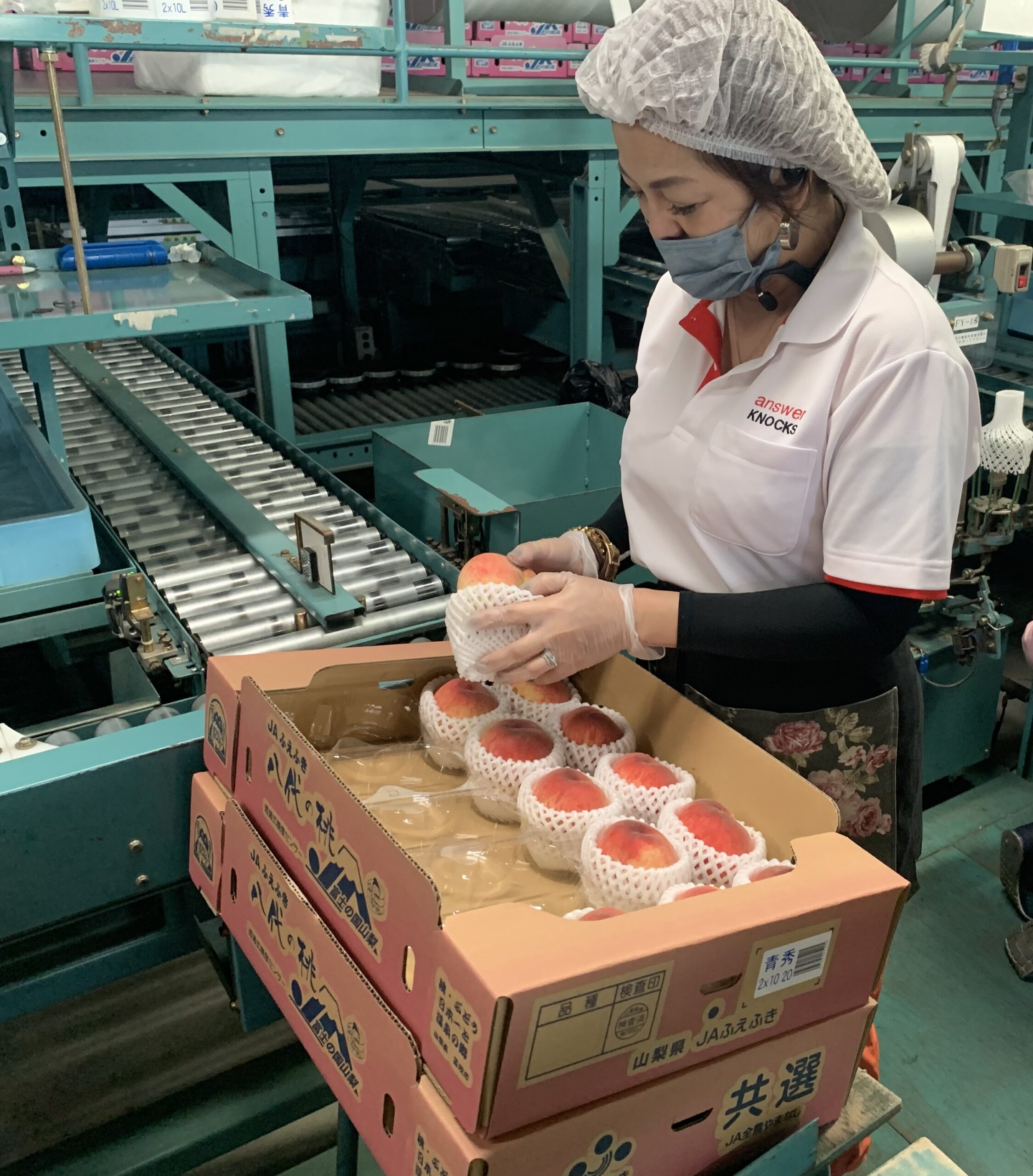 夏の大仕事、桃の出荷が始まりました！ | answer KNOCKS.