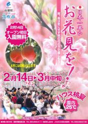 日本一早い花見！ハウス桃宴！